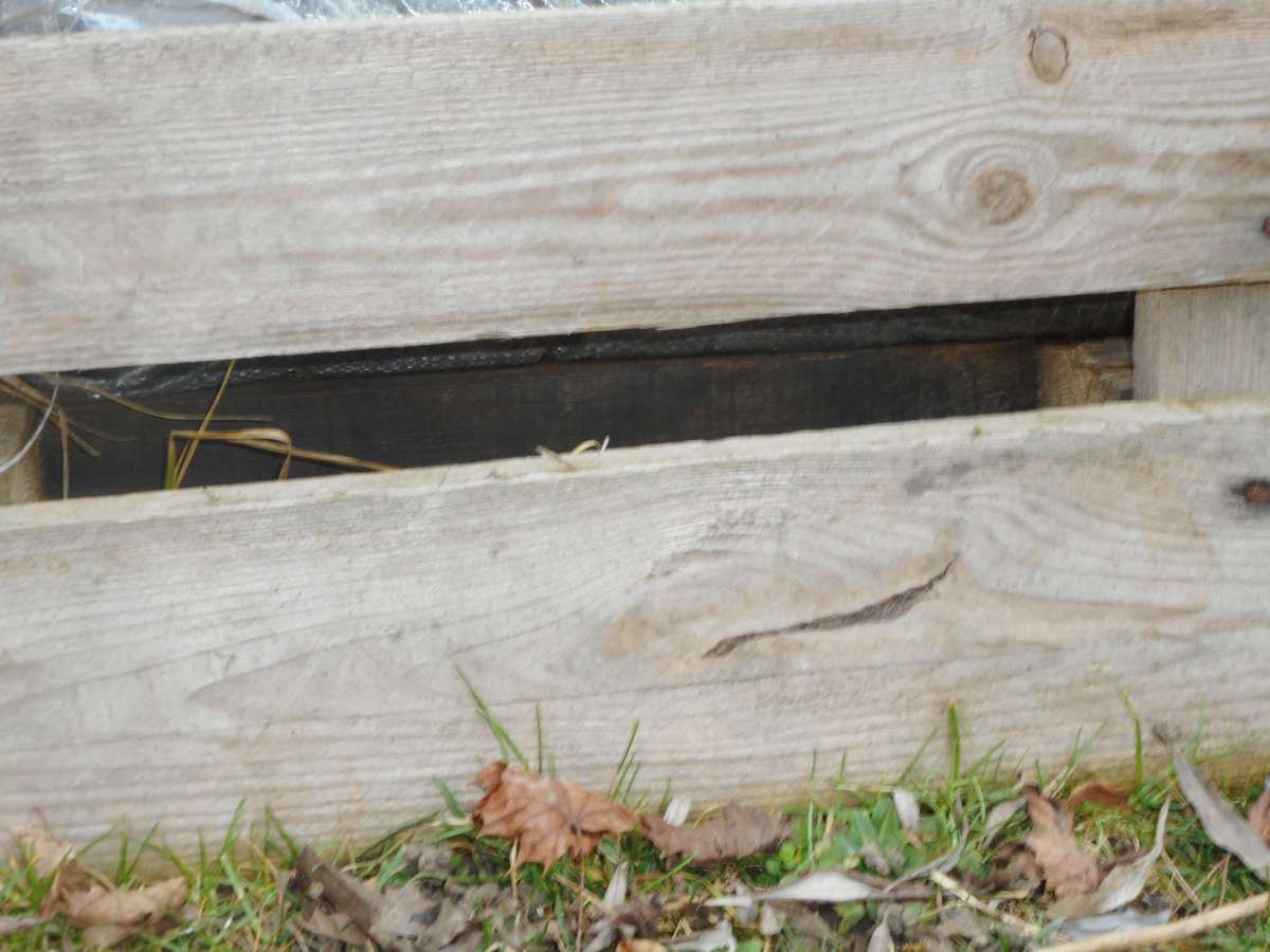 Rätsel 5: Orte in der&nbsp;Westparkschule